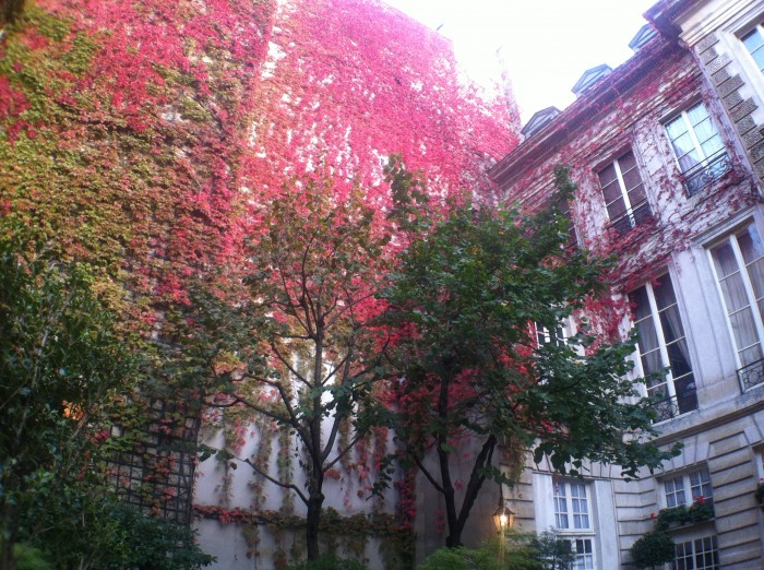 Outono em Paris Outono em Paris