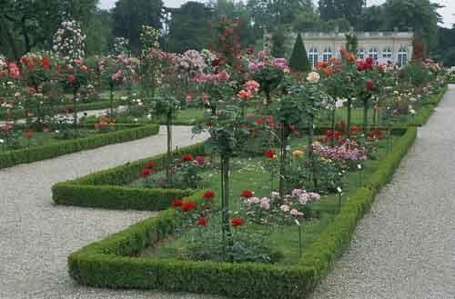 bagatelle2
