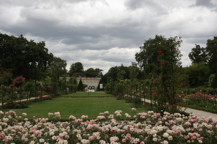 As roseiras do Jardin de Bagatelle, em Paris
