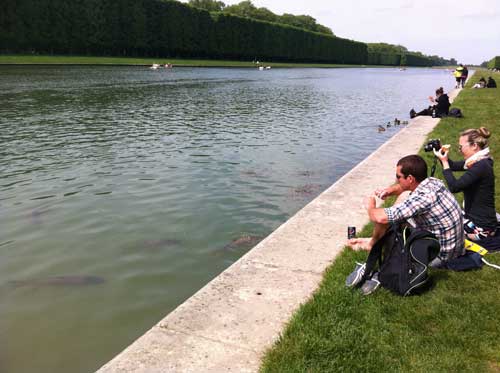 versailles-1