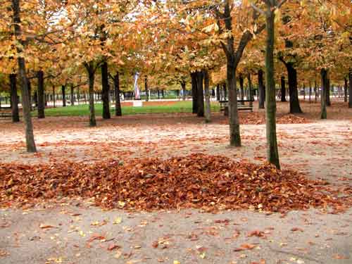 Os melhores meses do ano para visitar Paris