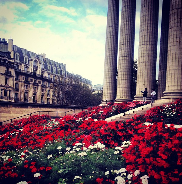 Canteiro de flores em Paris