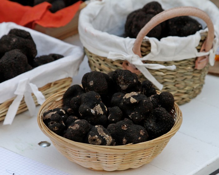 Trufas negras do Périgord