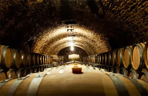 Caves Champanhe Selosse