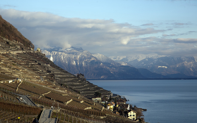 Os vinhedos de Lavaux, classificados pela Unesco como Patrimonio da Humanidade. Foto de Kosala Bandara 