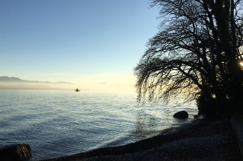 Margens do lago Leman, em Saint Prex