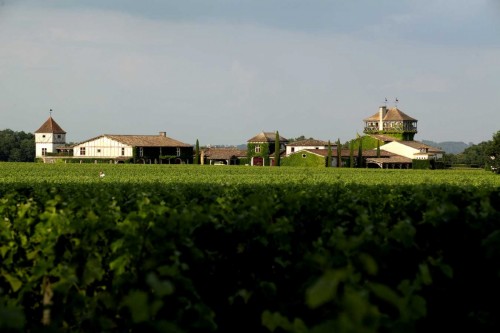 Vinhedo Château Haut Smith Lafitte