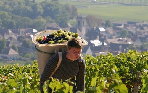 Domaine Henri Boillot (foto: 