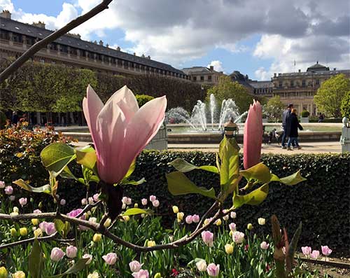 Jardins do Palais Royal