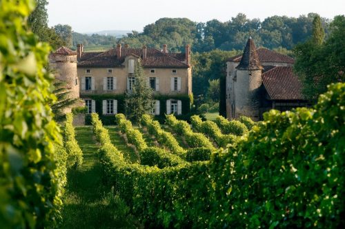 Vinhedos do Château de Maniban