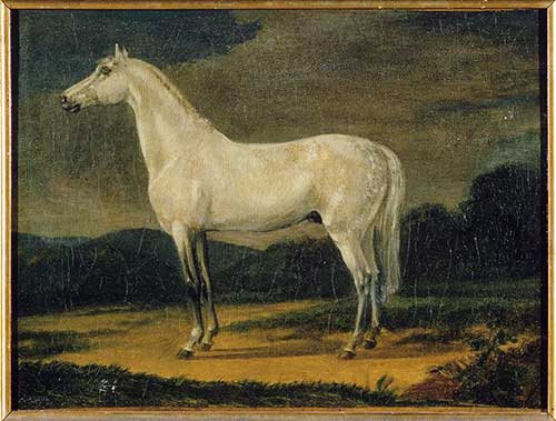 O cavalo branco de Napoleão