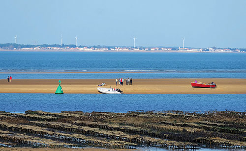 Ilha de Ré e seus parques de ostras. thierry Ilansades no Flickr