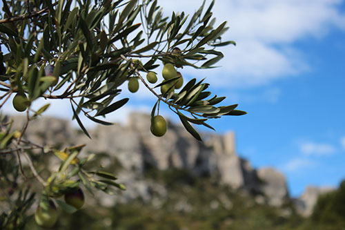 Foto: Moulin des Castelas