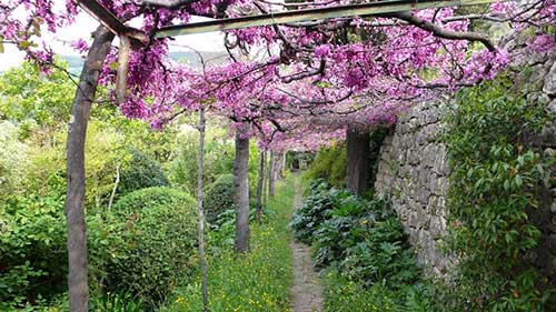 Os jardins de Grasse