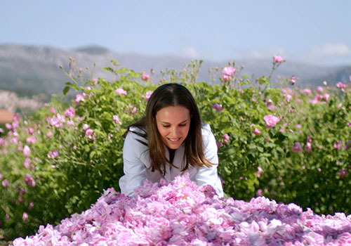 As plantações de rosas da Chanel em Grasse. Foto Natalie Portman © Christian Dior Parfums publicado pela revista Elle/juin, 2016