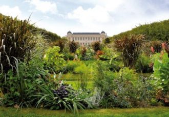 jardin des plantes