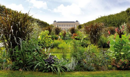 jardin des plantes