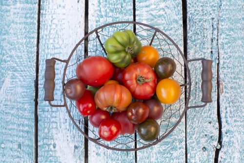 receita facil de tomate