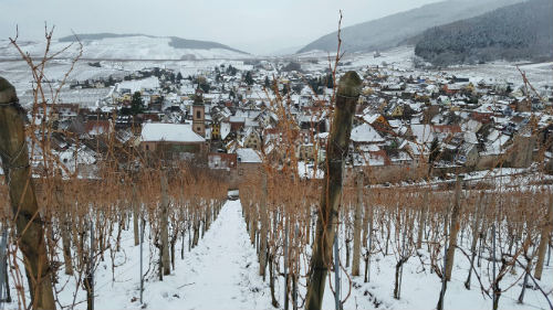 rota dos vinhos da alsacia