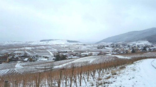 rota dos vinhos da alsacia