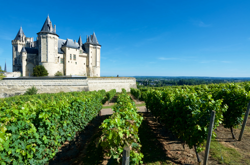 O que fazer no Vale do Loire? Visitar e fazer degustações nos produtores de vinho da região. O que fazer no Vale do Loire? Visitar e fazer degustações nos produtores de vinho da região.