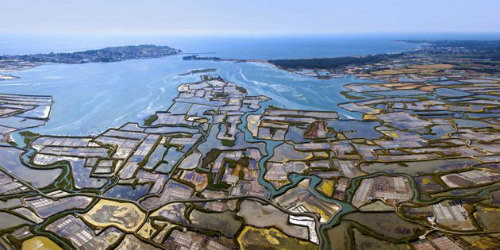 salinas de Guérande