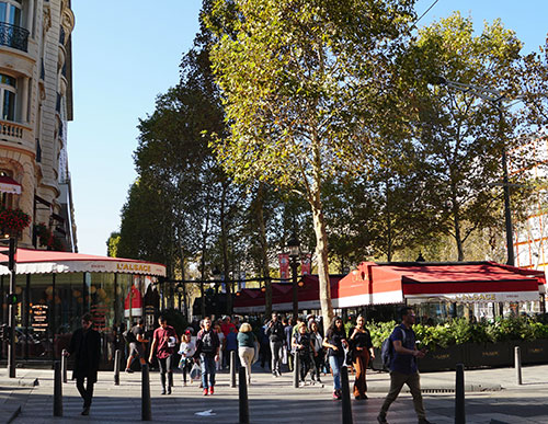 Restaurantes abertos a noite toda em Paris