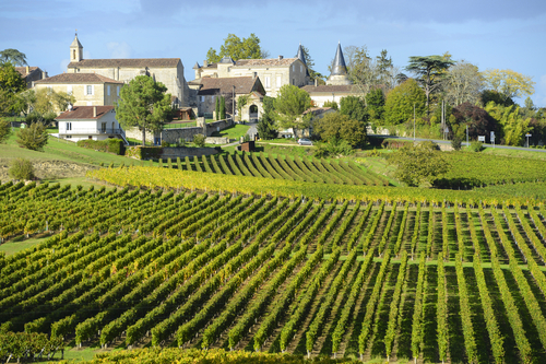 enoturismo na frança