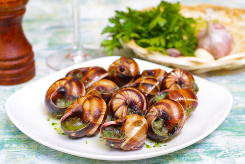 Natal na França escargot