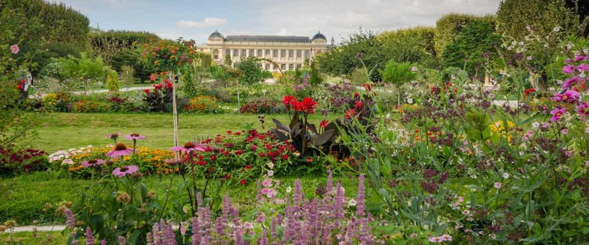 jardim des plantes paris em setembro