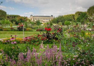 jardim des plantes paris em setembro