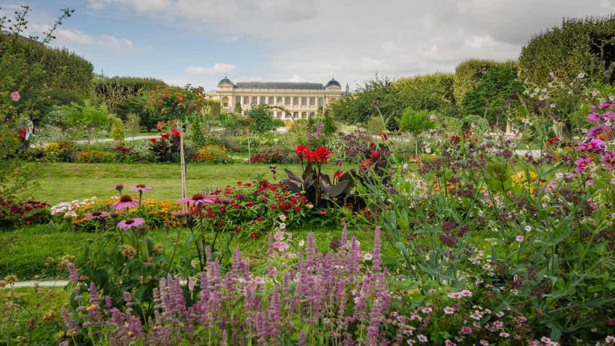 jardim des plantes paris em setembro