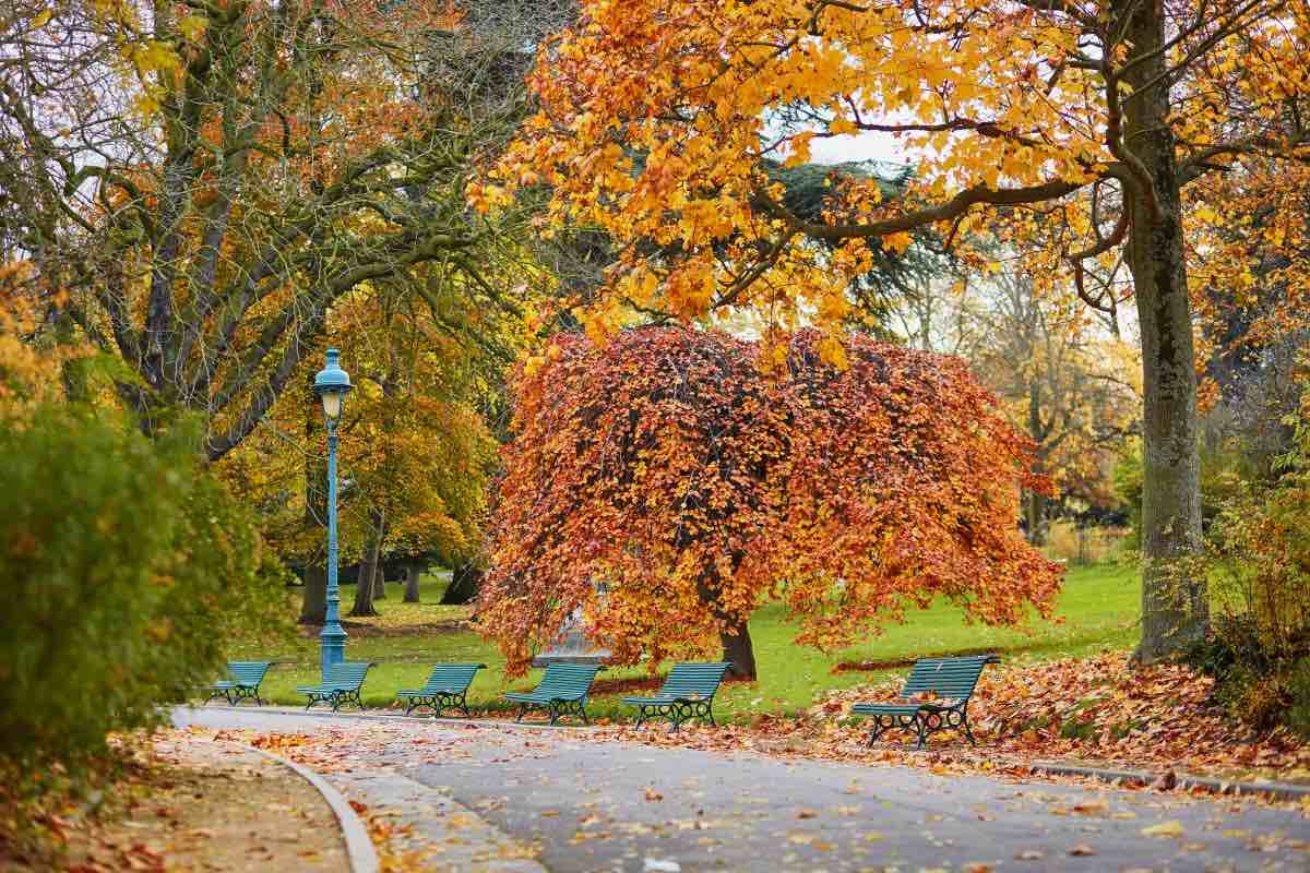 jardins dourados em paris em novembro