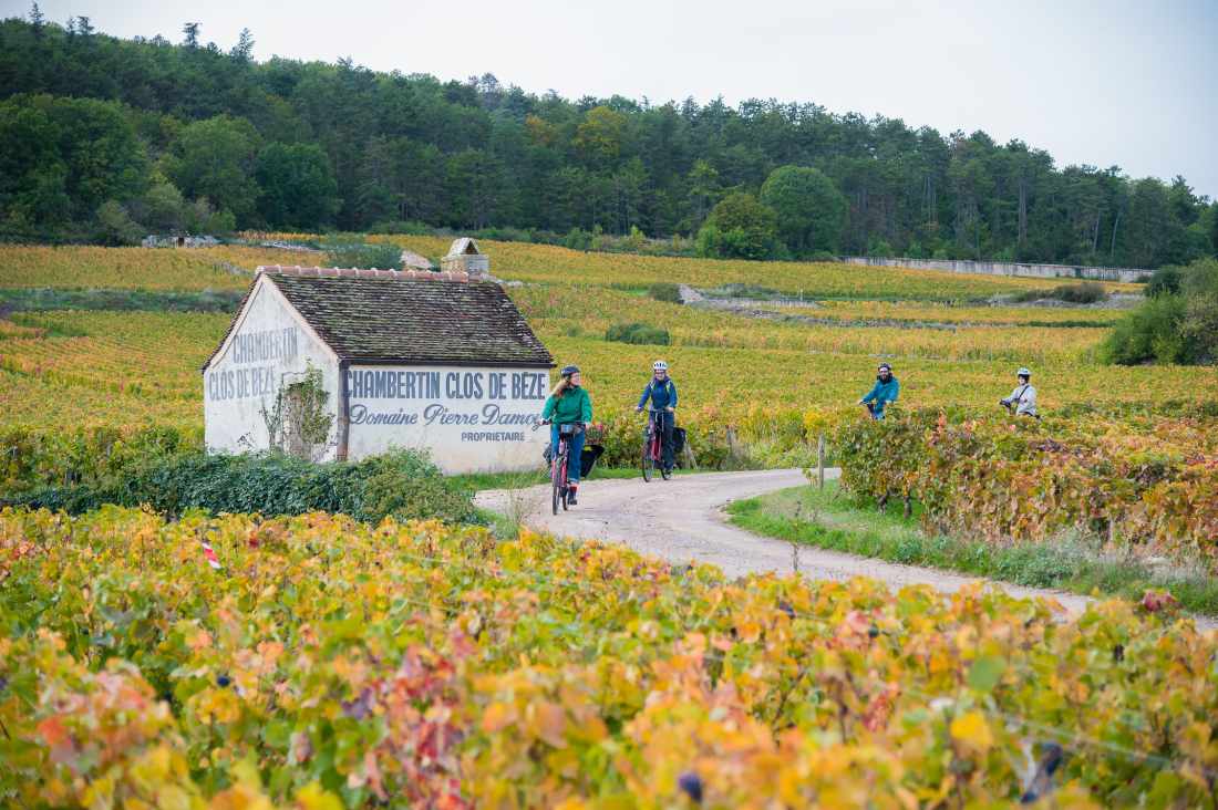 Vinhos da Borgonha: climats e clos