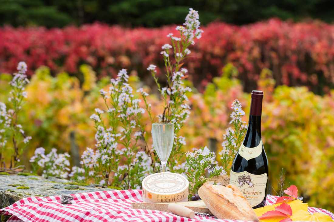 Vinhos da Borgonha: Gevrey Chambertin e queijo Epoisses durante piquenique na região.