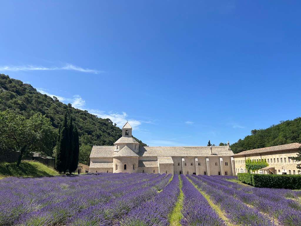 Provence luberon Abadia de Sénanque lavanda