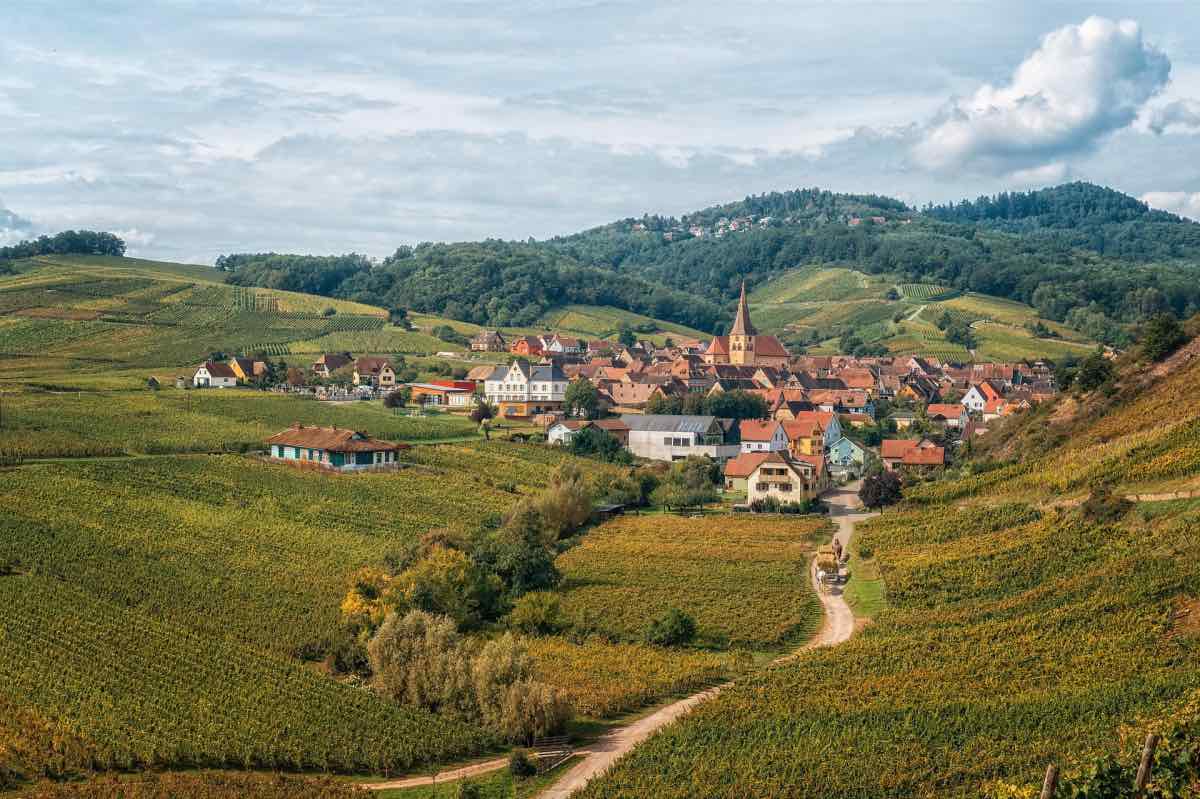 Viagens culturais e gastronômicas pela França Rota dos Vinhos Alsácia